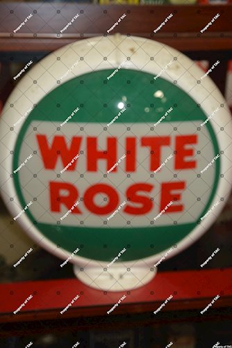 White Rose 13.5 single globe lens"