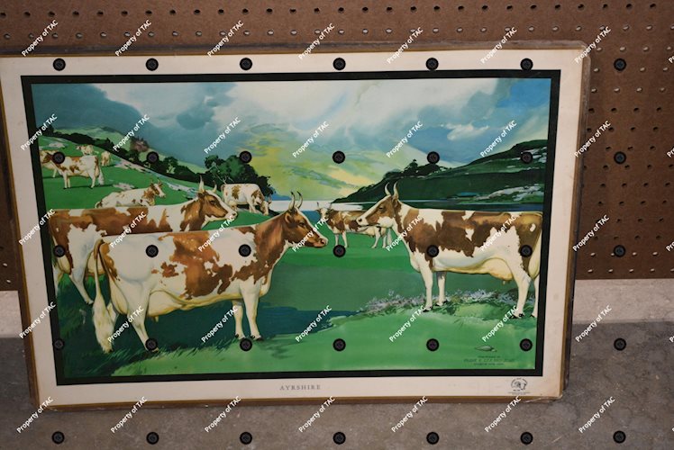 Ayrshire (cattle) Masonite Sign