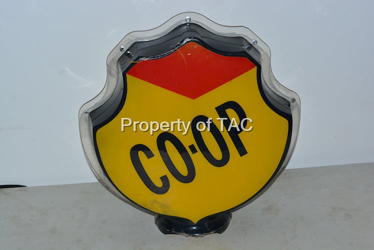 CO-OP Molded Plastic Globe Body